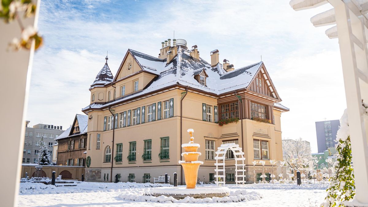 V Ostravě si postavili pohádkově luxusní Vilu Grossmann, pak v ní spáchali sebevraždu